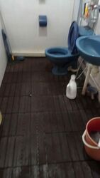 Blk 893B Woodlands Drive 50 (Woodlands), HDB Executive #555043541